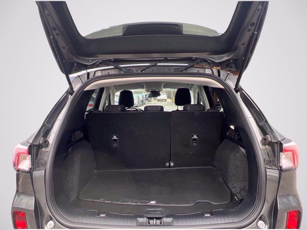 FORD Kuga 1.5 ecoblue Titanium 2wd 120cv del 2020