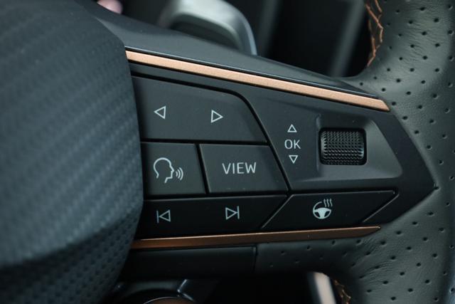 SEAT Leon CUPRA Leon 2.0 TDI 150 CV DSG