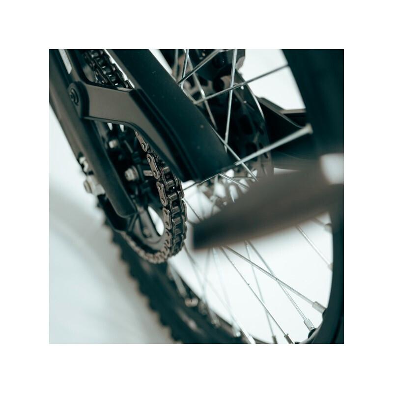 SWM BINSEN L1e