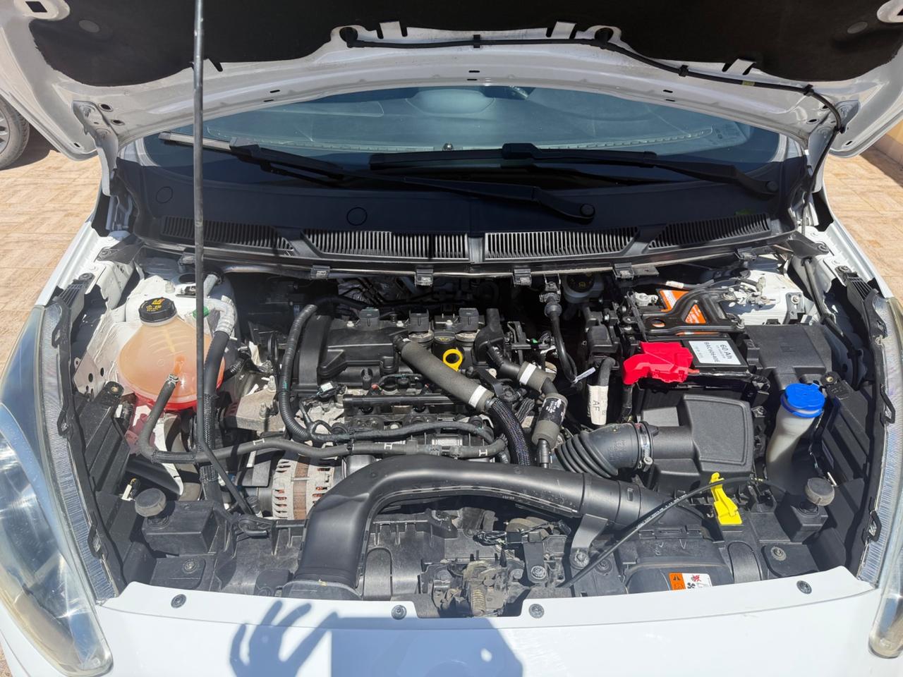 Ford Ka 1.2 85 CV Start&Stop Active 2019