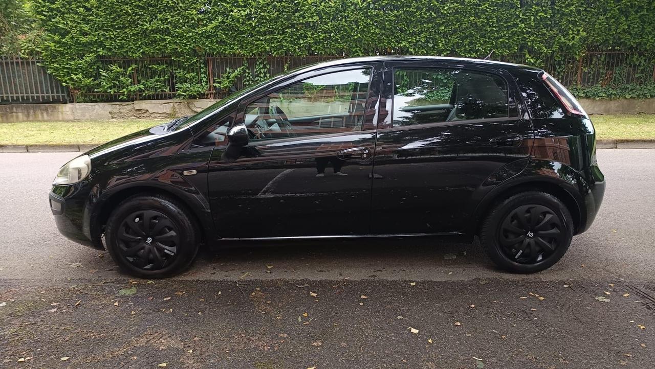 Fiat Punto Evo Punto Evo 1.2 5 porte S&S MyLife
