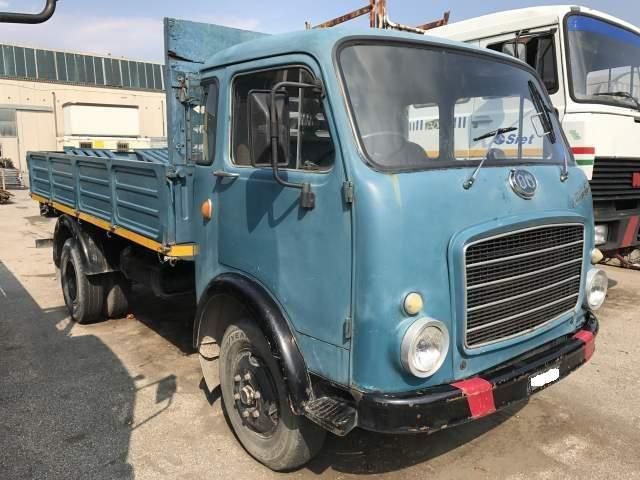 Om leoncino conservato d'epoca 1963