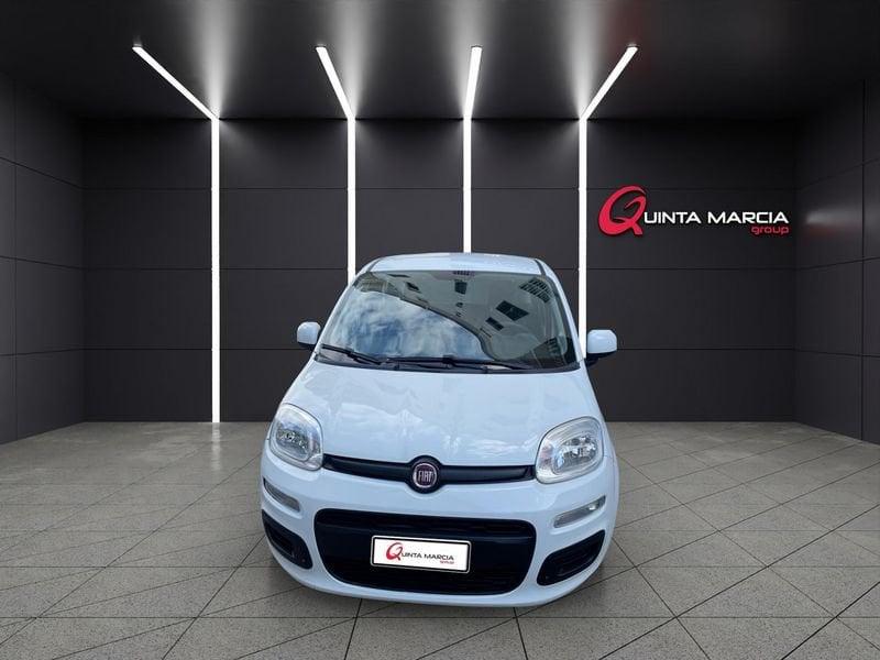 FIAT Panda 1.2 69 CV EasyPower GPL (29-24)
