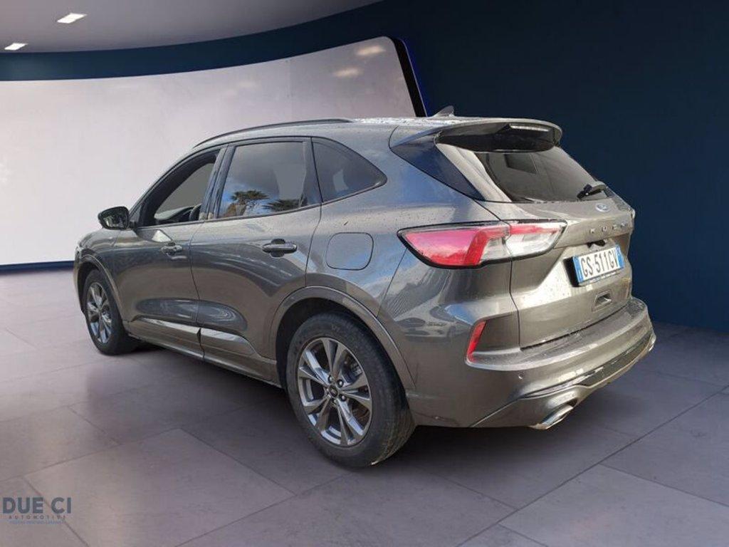 FORD Kuga 2.0 EcoBlue 120 CV aut. 2WD ST-Line del 2024