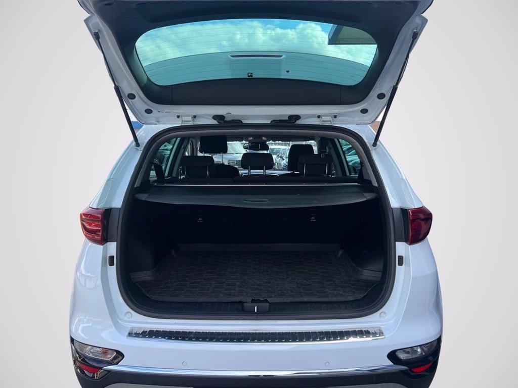 KIA Sportage 1.6 CRDI 115 CV 2WD Energy del 2020