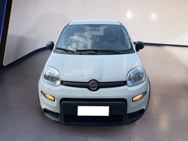 FIAT Panda III 2021 1.0 firefly hybrid s&s 70cv