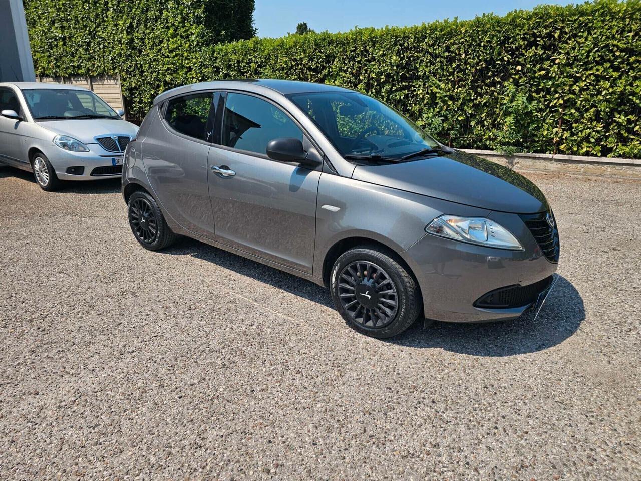 Lancia Ypsilon 1.3 MJT 16V 95 CV 5 porte S&S Platinum