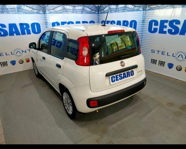 FIAT New Panda 1.0 Hybrid 70cv 5 posti