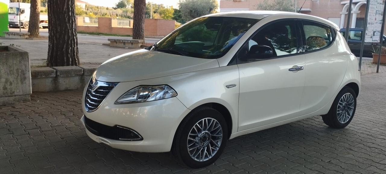 Lancia Ypsilon 1.2 69 CV 5 porte S&S Platinum