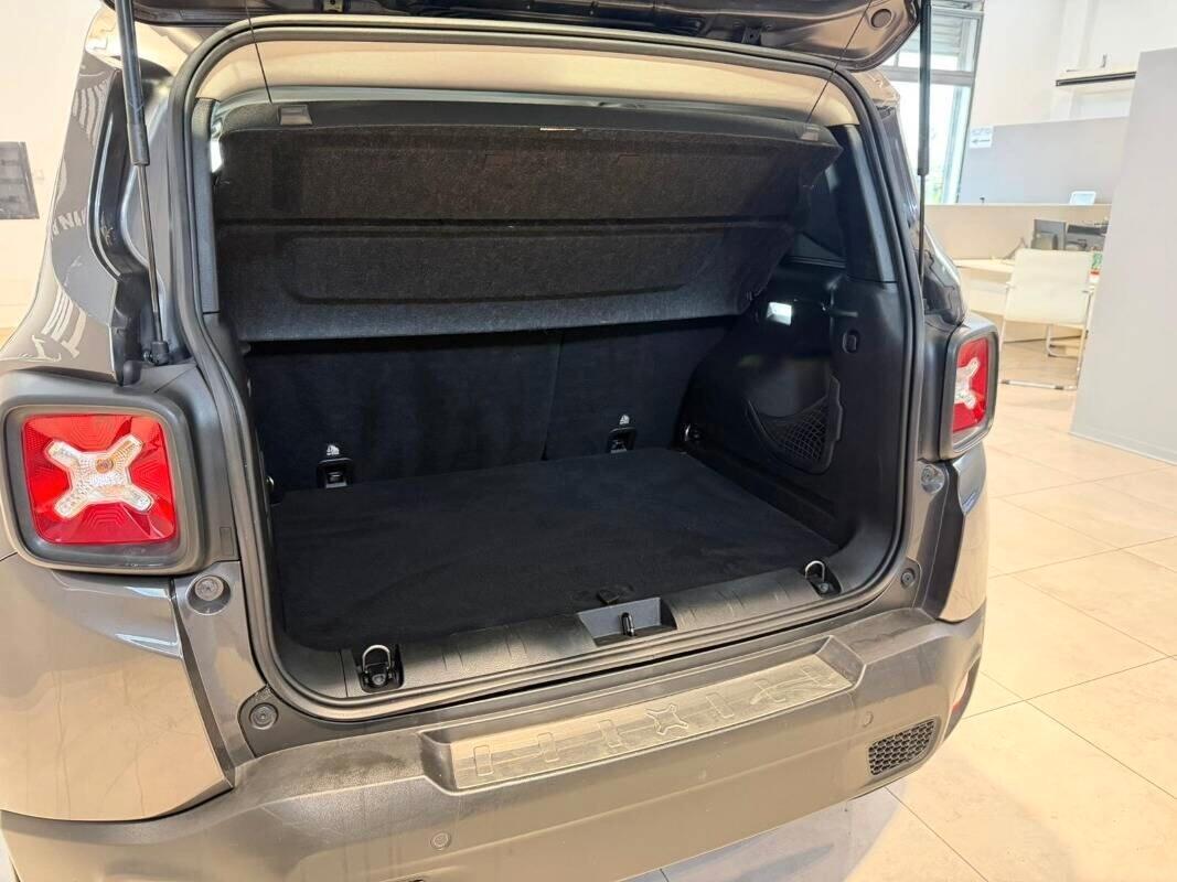 Jeep Renegade 1.6 Mjt DDCT 120 CV Business
