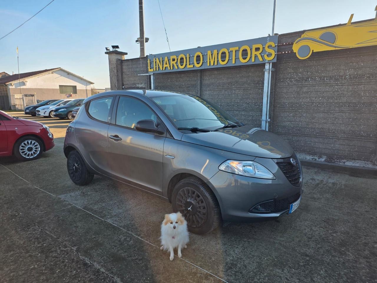 Lancia Ypsilon 1.2 69 CV 5 porte Elle