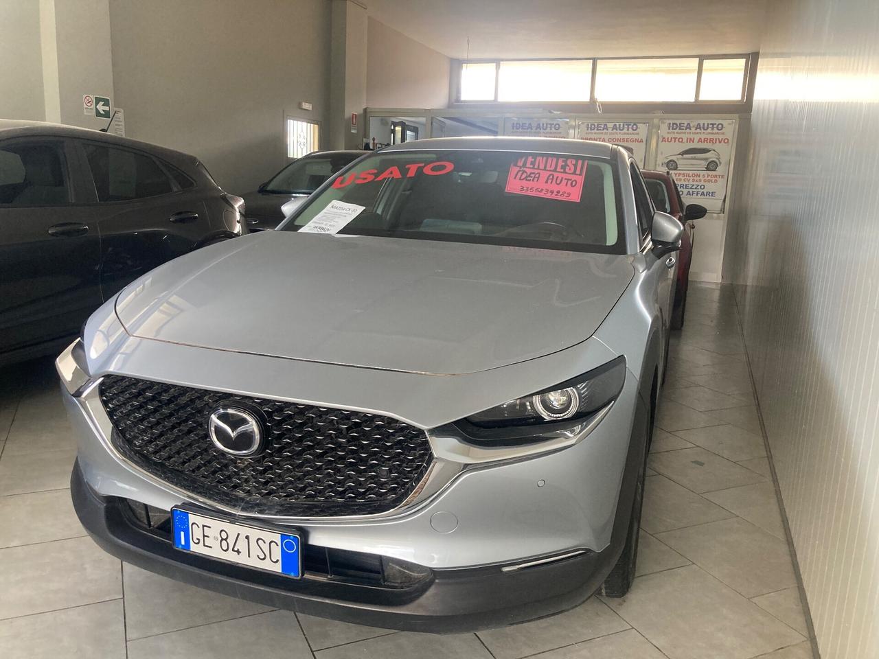 Ford Focus 1.5 EcoBlue 120 CV 5p. 2022