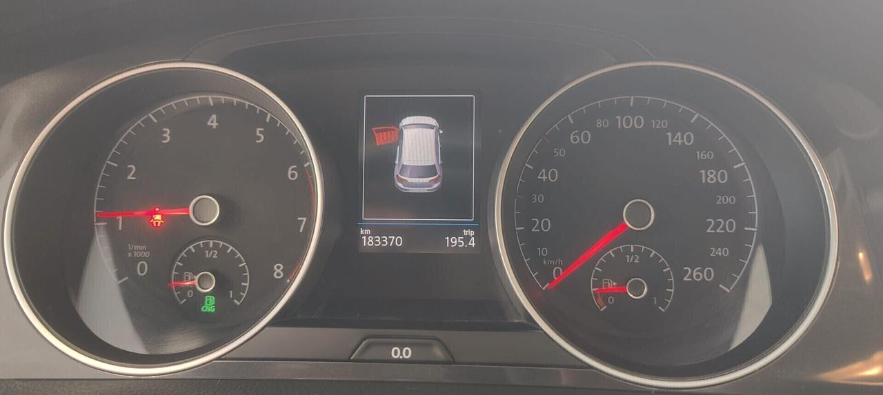 Volkswagen Golf 1.4 TGI 5p. Executive BlueMotion