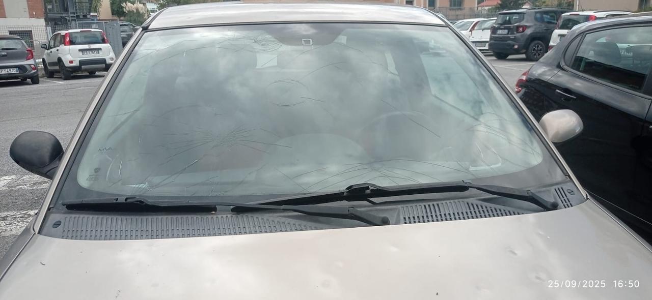 Lancia Ypsilon 1.3 MJT 75 CV Platino