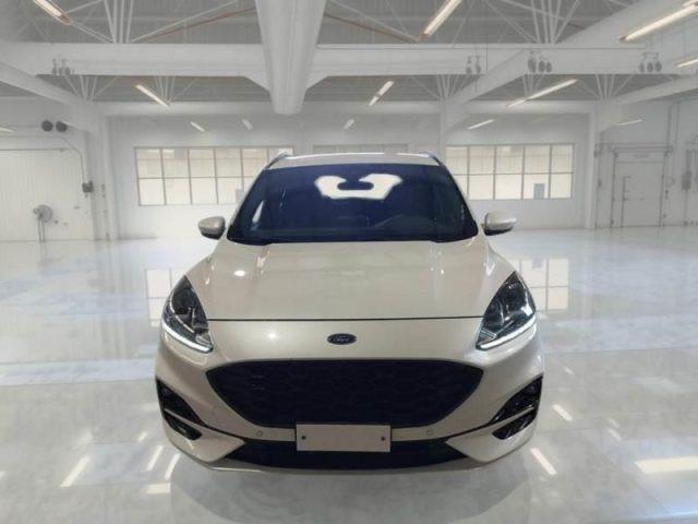 FORD Kuga 1.5 EcoBoost 150 CV 2WD ST-Line