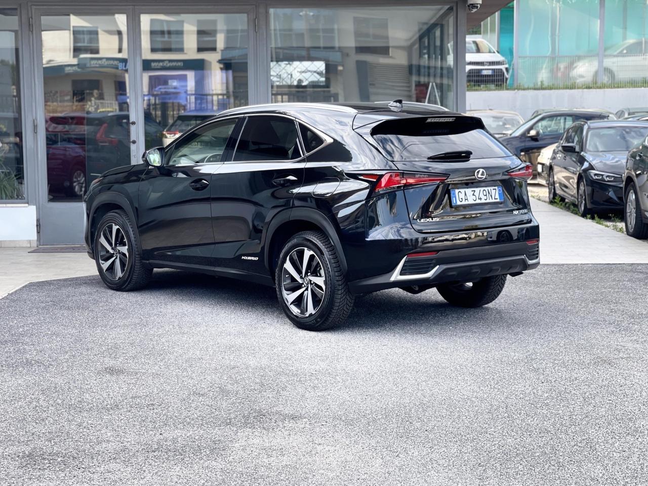 Lexus NX 300h Luxury 2.5 Hybrid 155CV E6 - 2020
