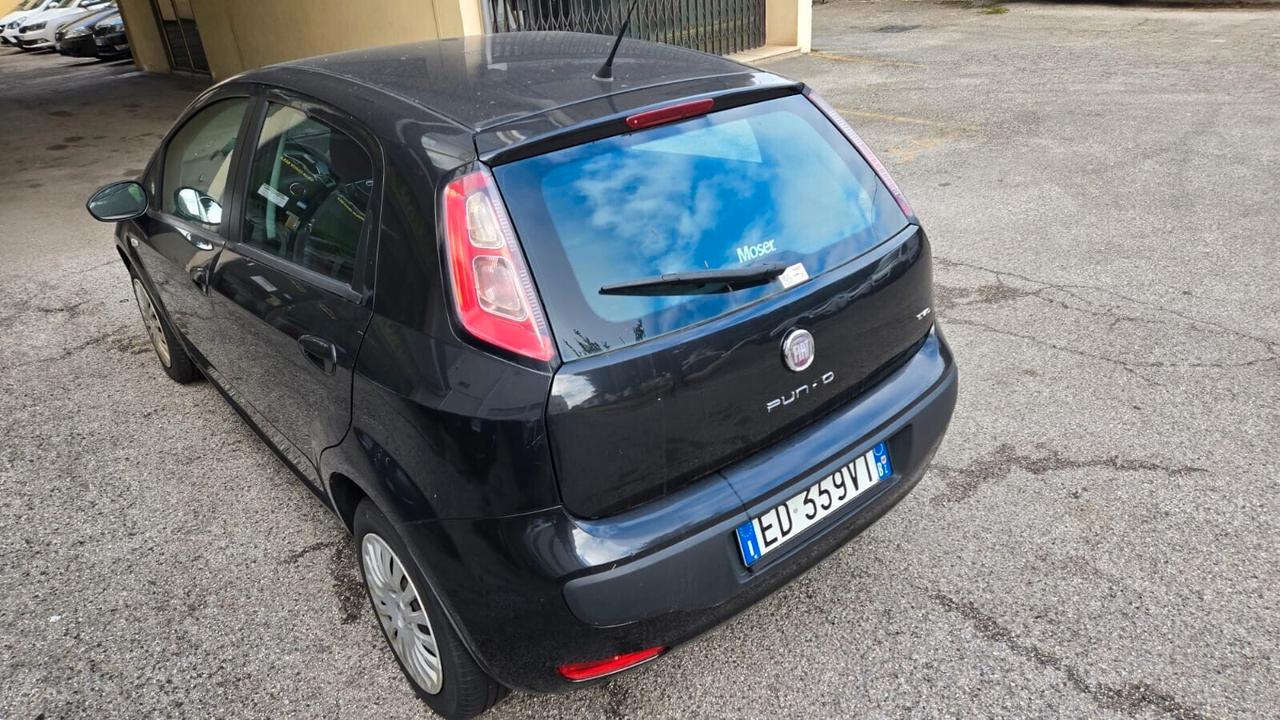 Fiat Punto Evo Punto Evo 1.2 5 porte Neopatentati