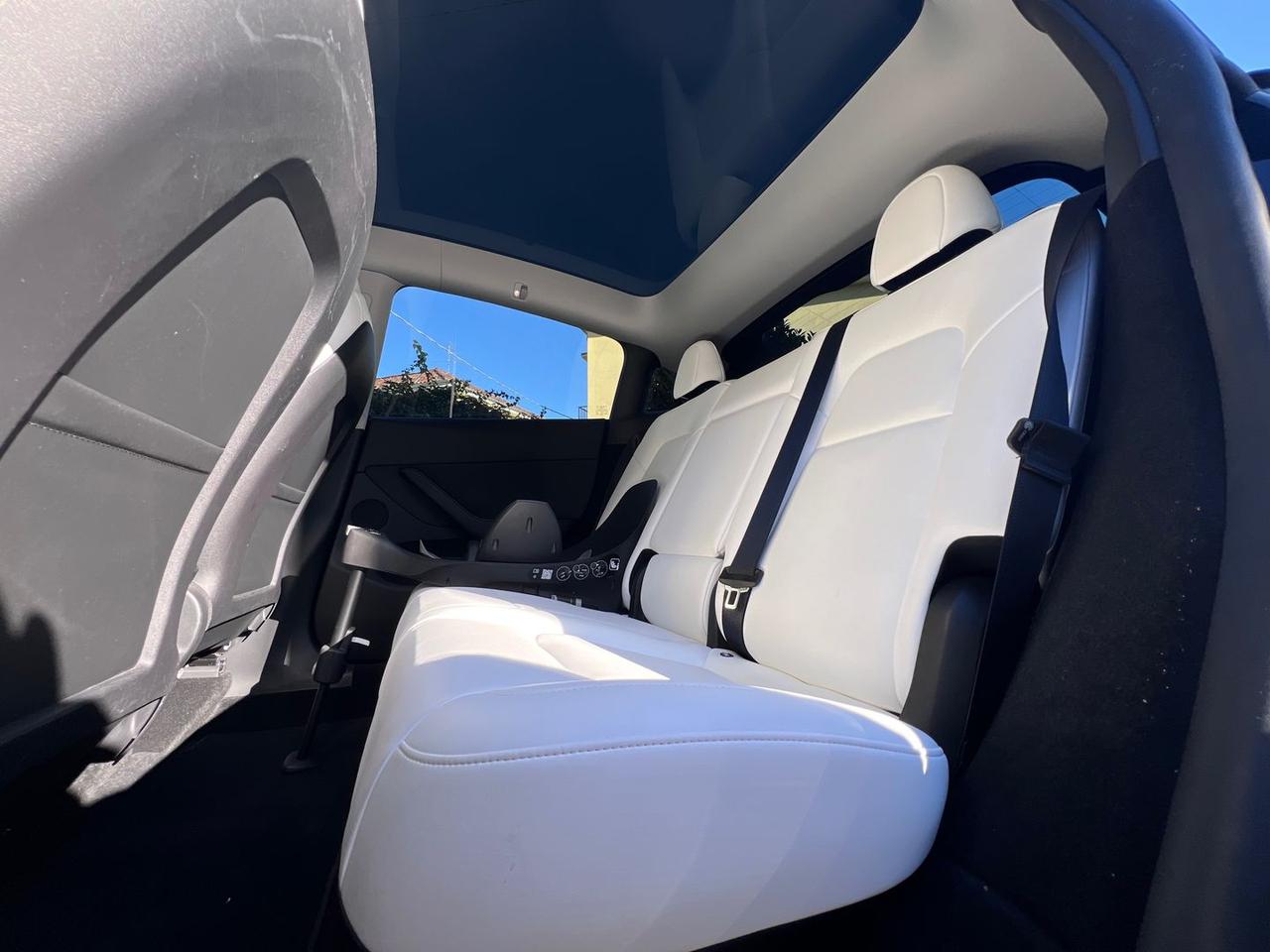 Tesla Model Y Performance #8327