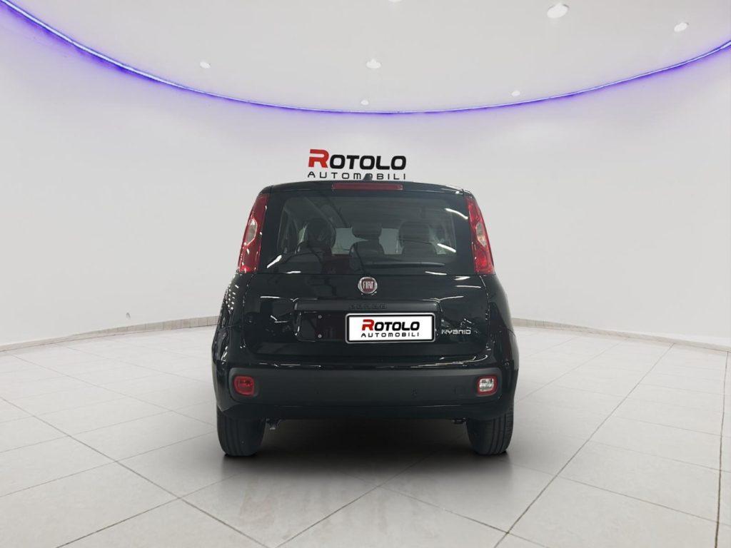 FIAT Panda 3ª serie Panda 1.0 FireFly S&S Hybr...