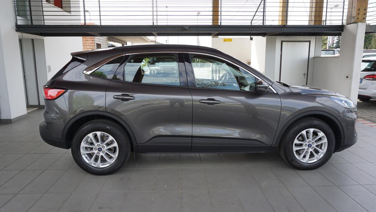 Ford Kuga 1.5 ecoblue Titanium Business 2wd 120cv auto
