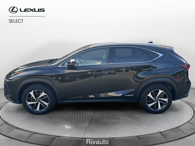 Lexus NX NX Hybrid 4WD Luxury