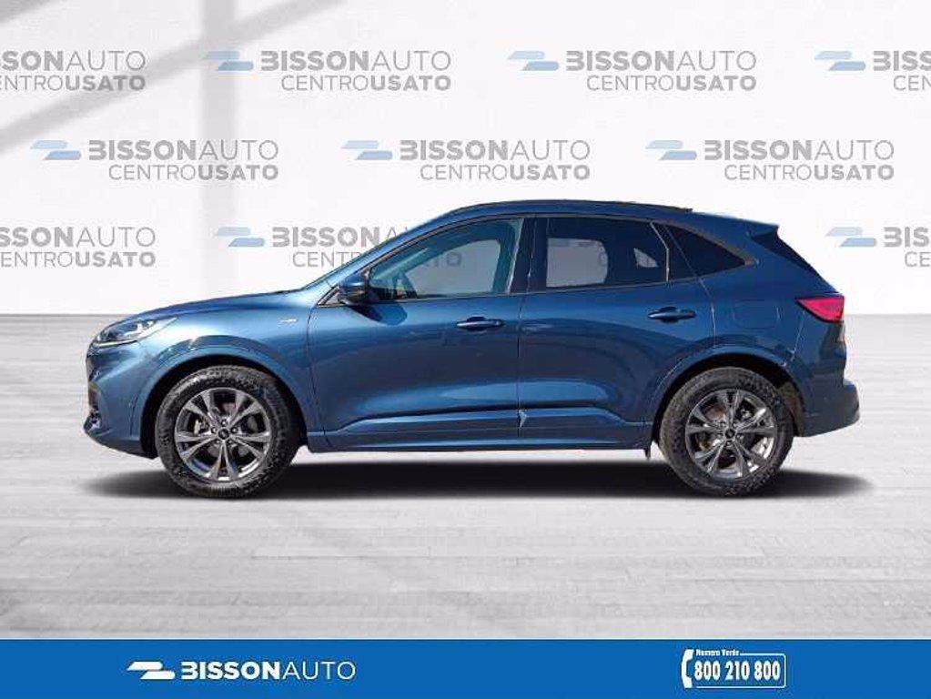 FORD Kuga 2.0 EcoBlue Hybrid 150 CV 2WD ST-Line del 2021