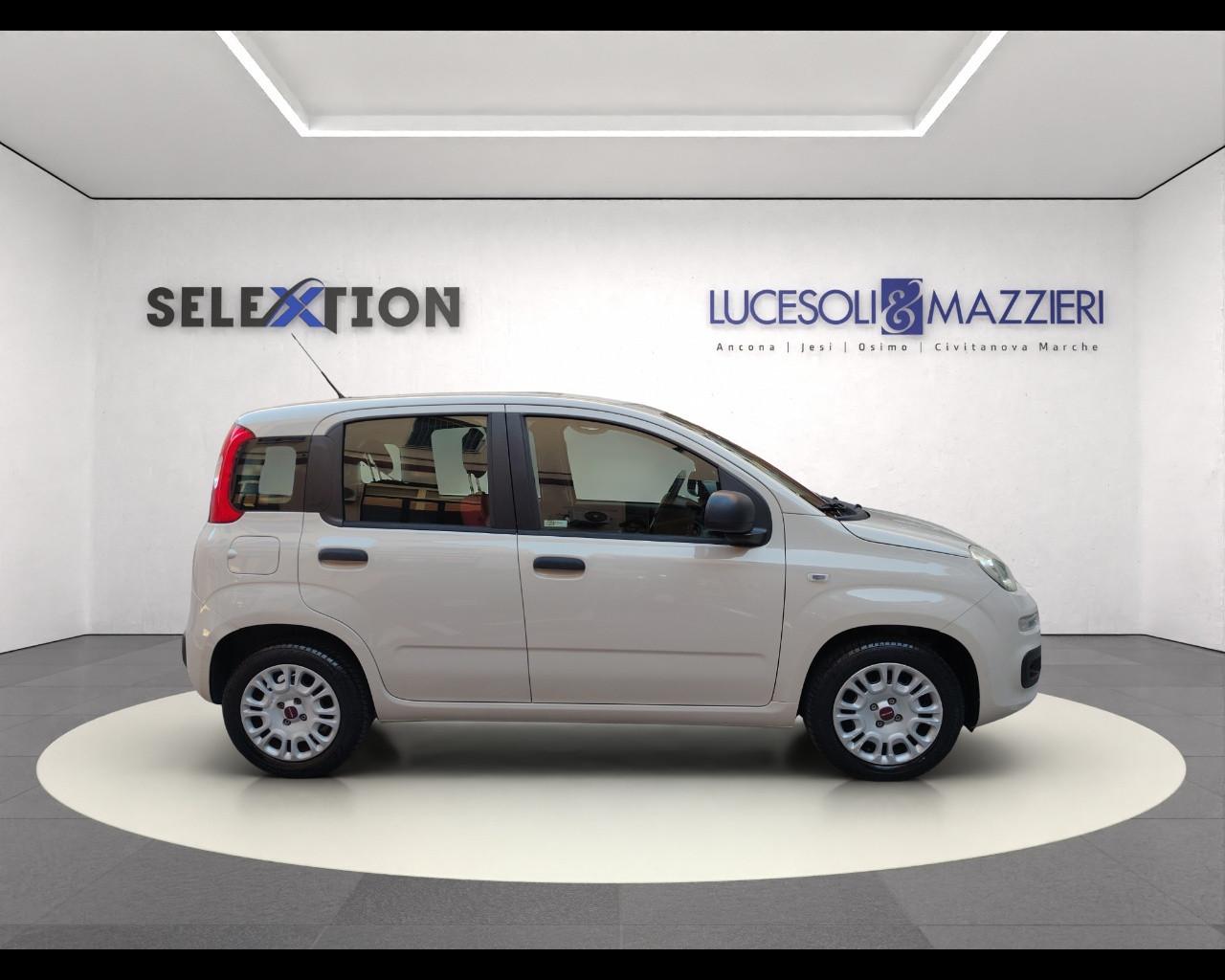 FIAT Panda 3ª serie - Panda 1.2 EasyPower Easy