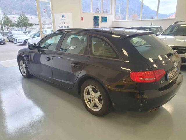 AUDI A4 Avant 2.0 TDI Tagliandi Audi Uff.