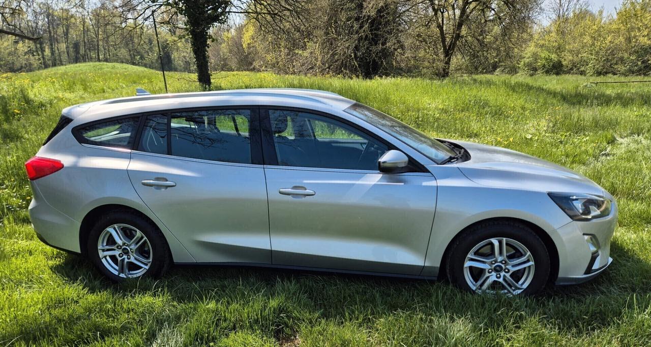 Ford Focus 1.5 EcoBlue 120 CV automatico SW Business 2021