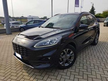 Ford Kuga 2.0 EcoBlue Hybrid 150 CV 2WD ST-Line X