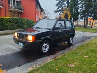 Fiat Panda Young