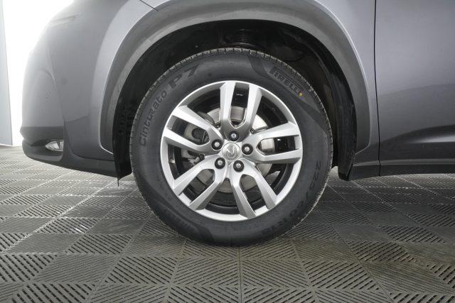 LEXUS Other NX NX Hybrid 4WD Icon