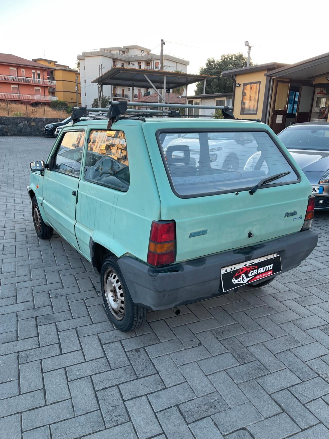 Fiat Panda 900 i.e. cat Young