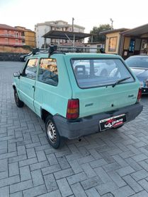 Fiat Panda 900 i.e. cat Young