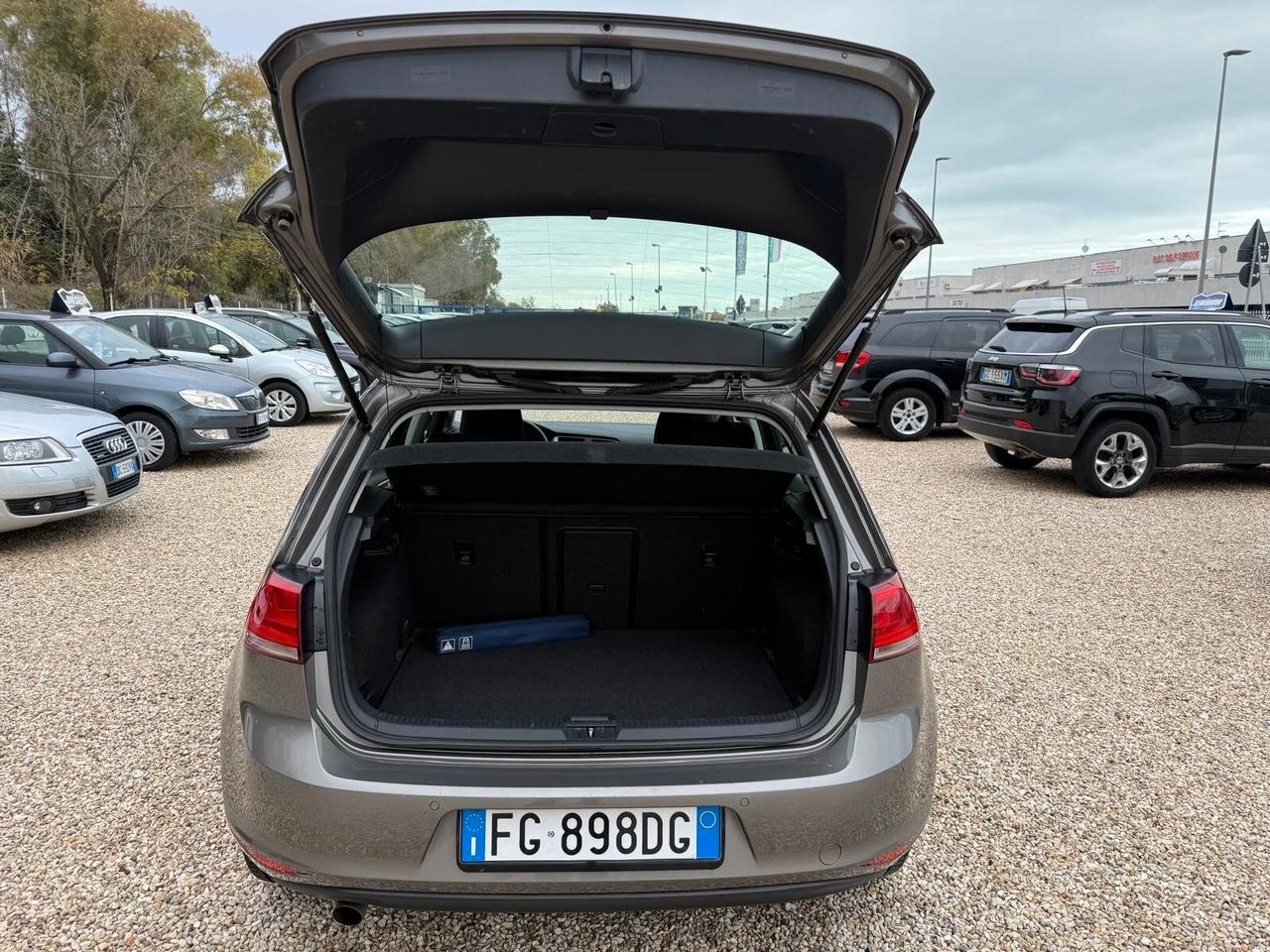 Volkswagen Golf 1.6 TDI 110 CV 5p. Executive BlueMotion Technology