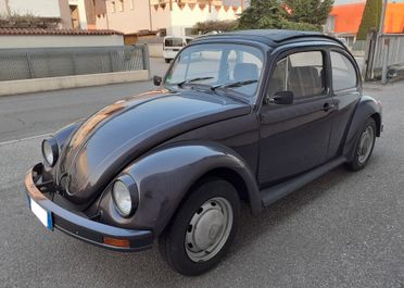 Volkswagen Passat Maggiolino