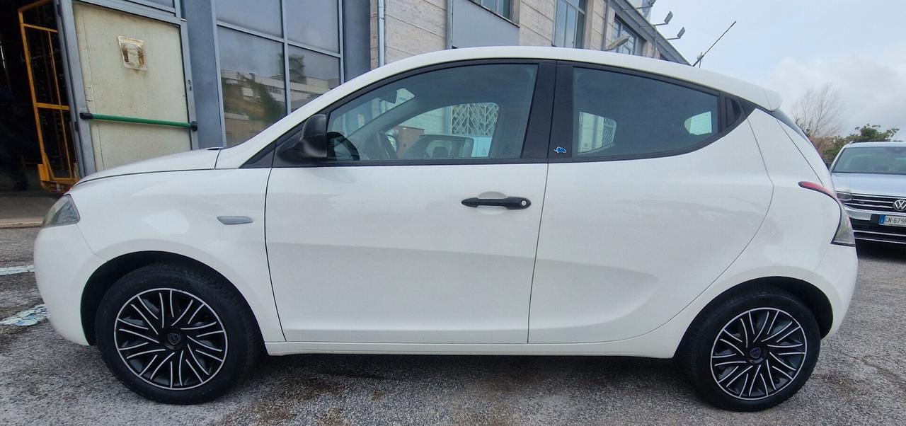 Lancia Ypsilon 1.2 69 CV 5 porte GPL Ecochic Platinum