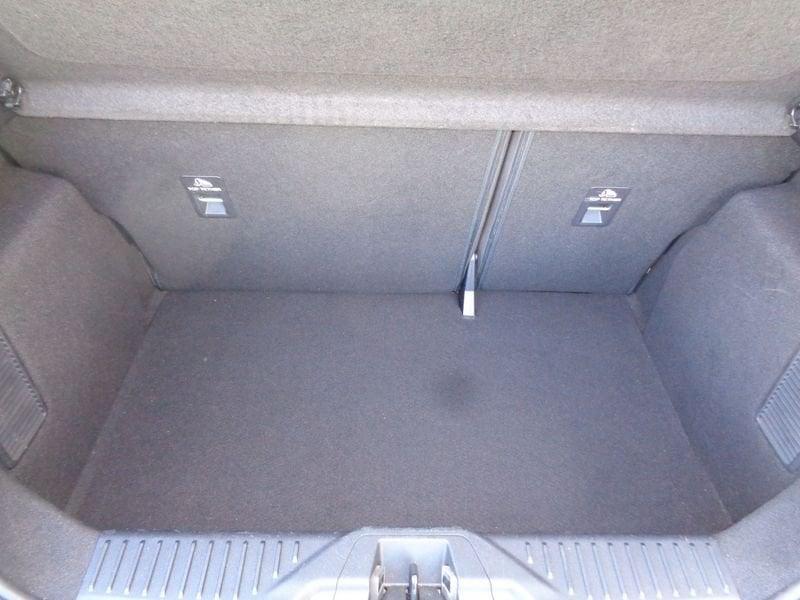 Ford Fiesta Fiesta Active X 1.0 Ecoboost Hybrid 125 CV 5 porte