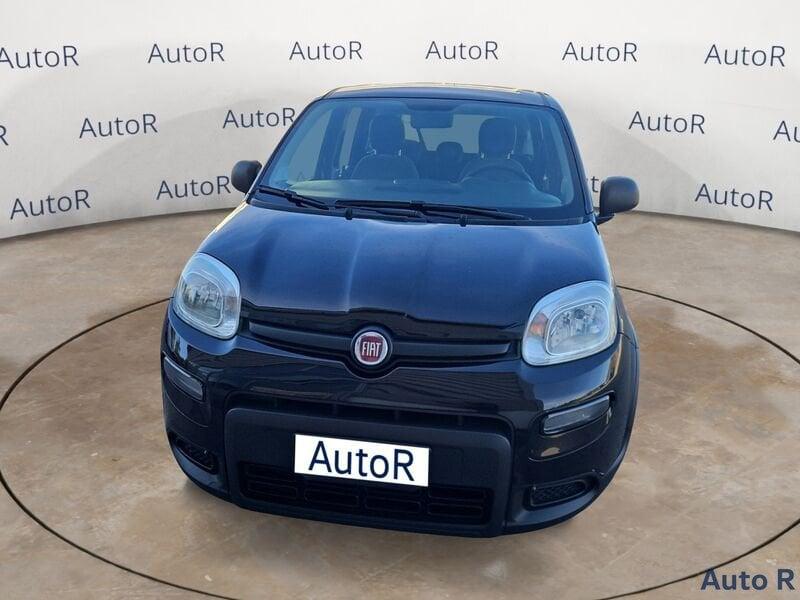 FIAT Panda Panda 1.0 firefly hybrid s&s 70cv