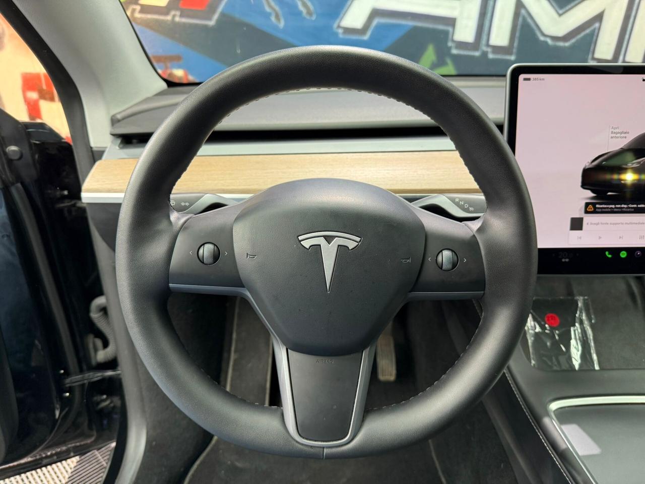Tesla Model Y RWD (995)
