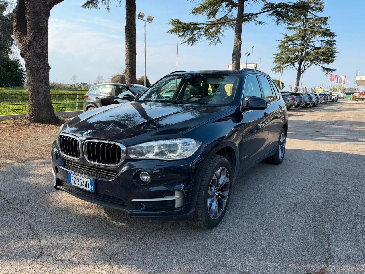 Bmw X5 xDrive25d