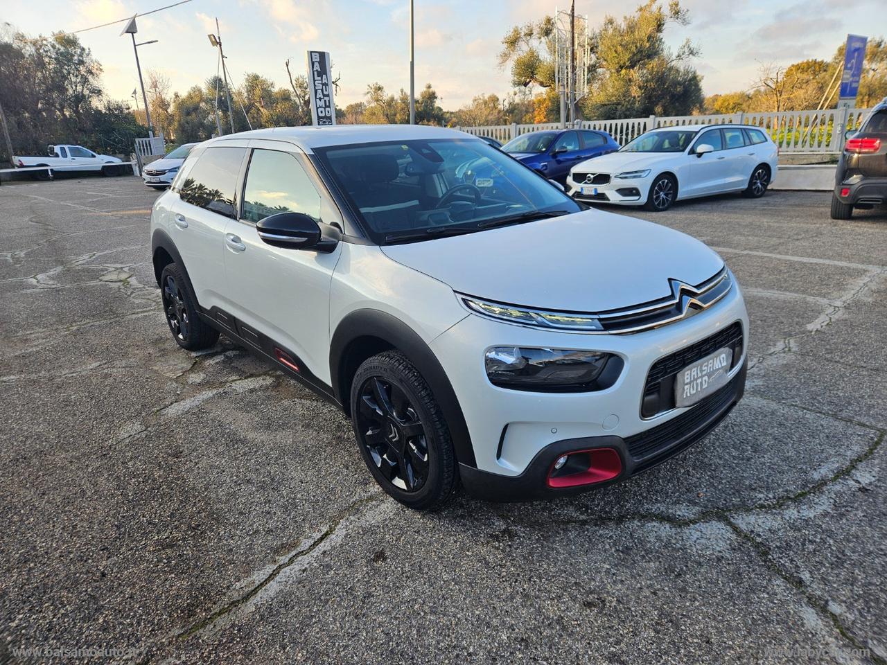 CITROEN C4 Cactus BlueHDi 100 S&S Shine N1