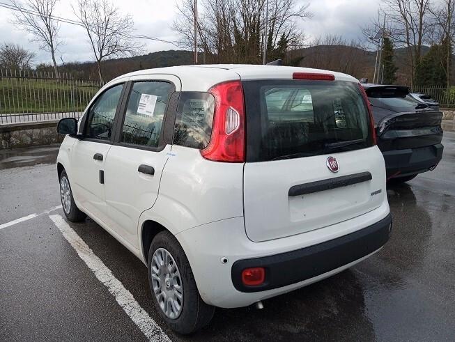 Fiat Panda 1.0 FireFly S&S Hybrid Icon