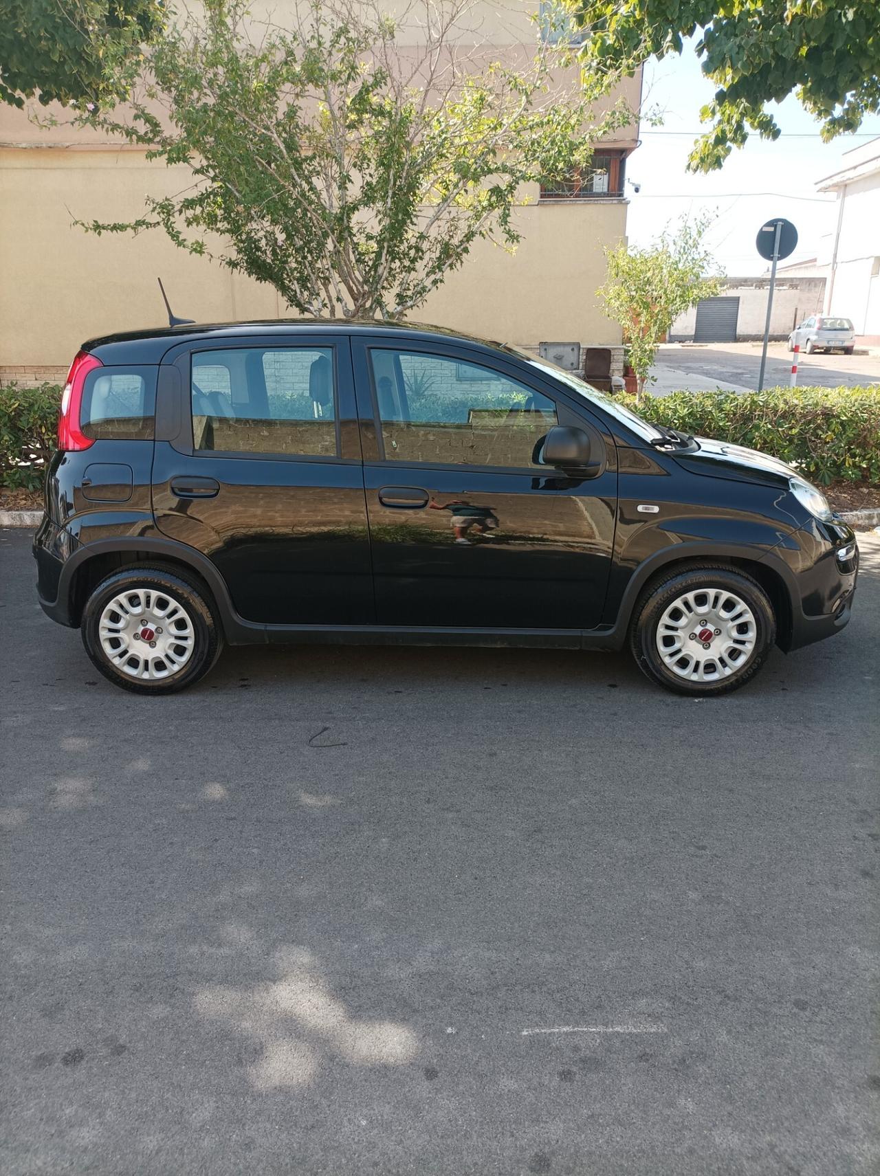 Fiat Panda 1.0 FireFly S&S Hybrid - 2023