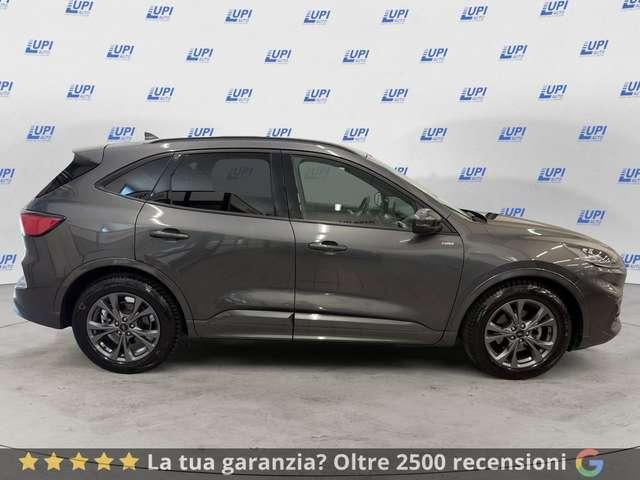 Ford Kuga 2.0 EcoBlue 120CV 2WD ST-Line X Auto