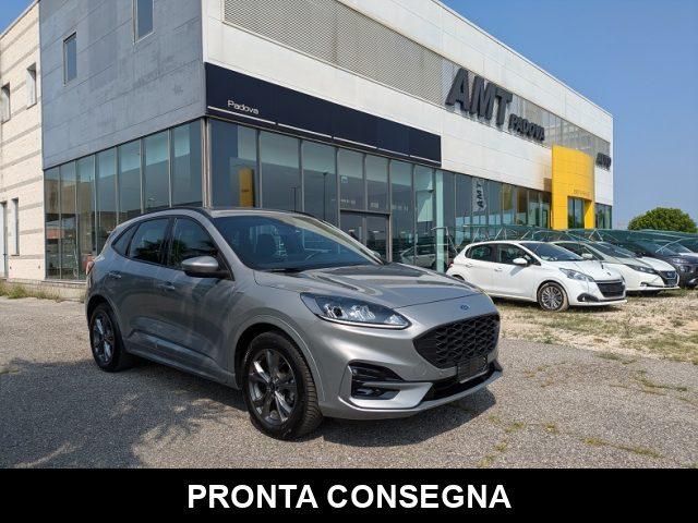 FORD Kuga 1.5 EcoBlue 120 CV aut. ST-Line