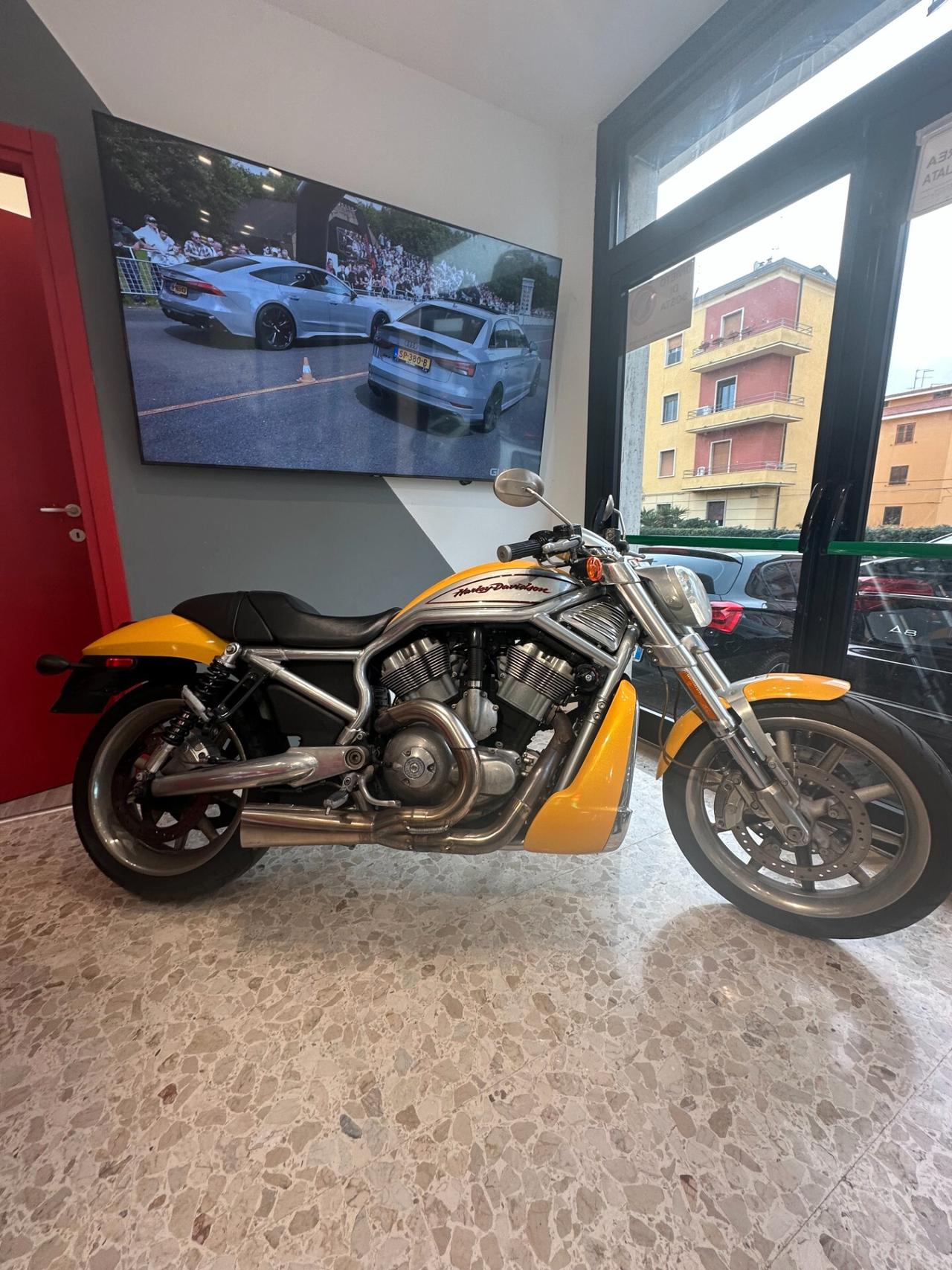 HARLEY-DAVIDSON V-ROD