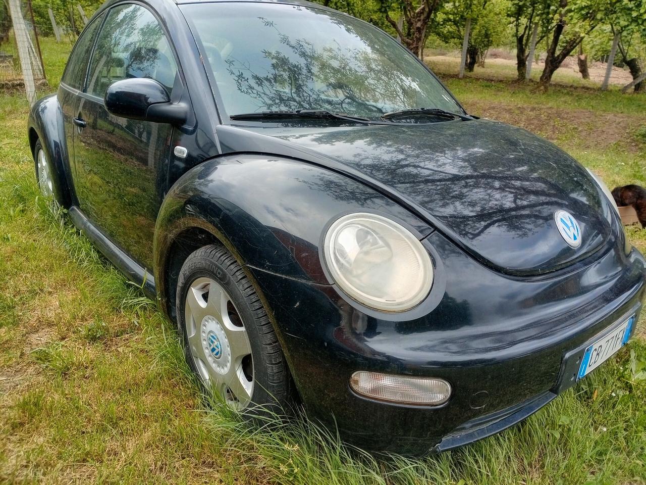 Volkswagen New Beetle 1.9 TDI