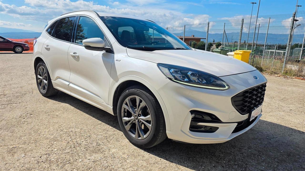 Ford Kuga 1.5 EcoBlue 120 CV aut. 2WD ST-Line X
