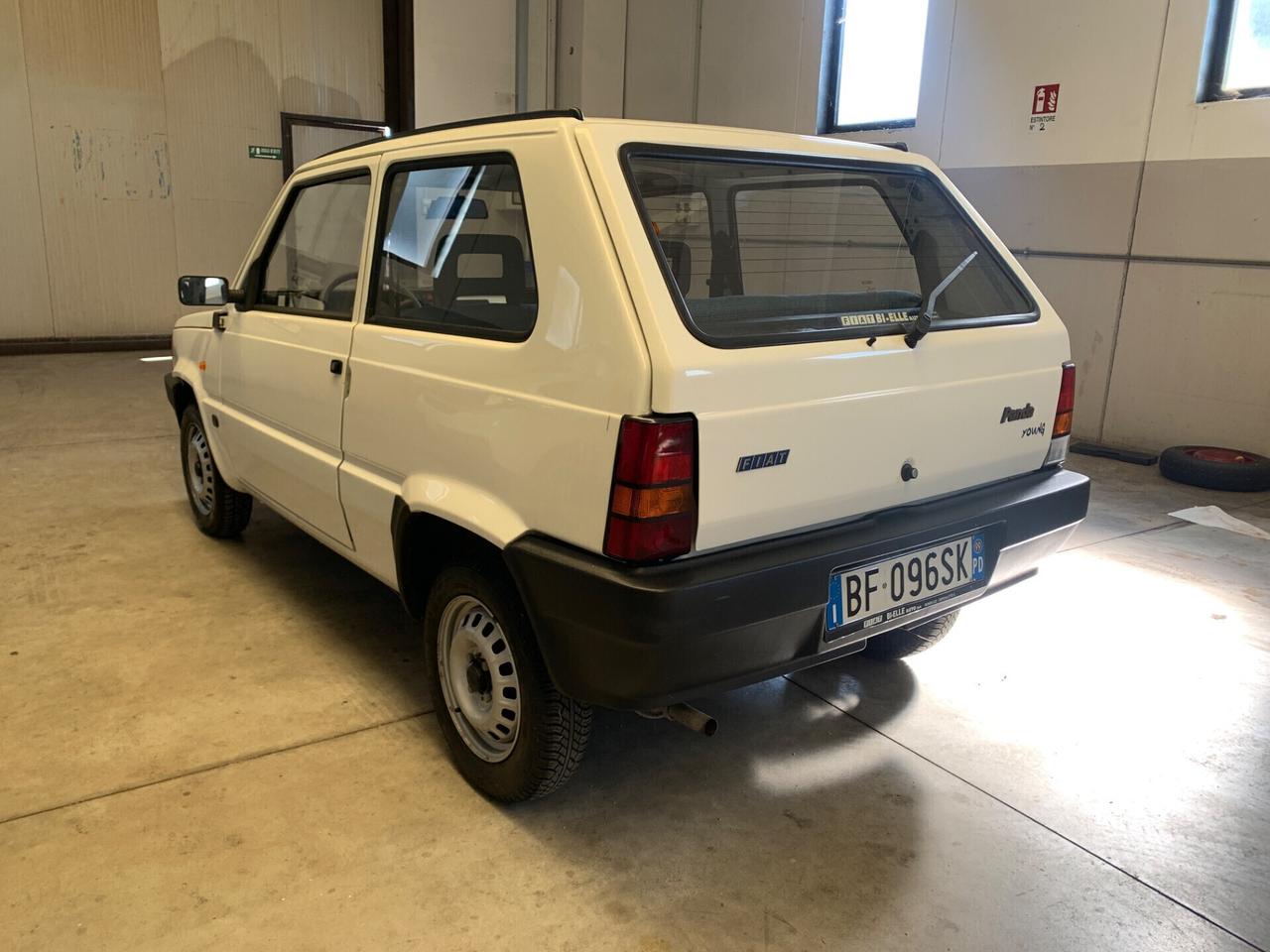Fiat Panda 900 i.e. cat Young